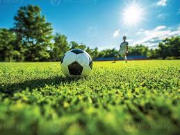 多平台应用展示界面